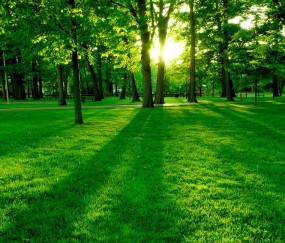 卵泡为什么不排出（卵泡不排出来是什么原因）