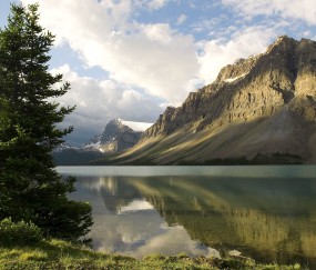 小孩发烧牙齿流血怎么为（小朋友发烧牙龈出血）