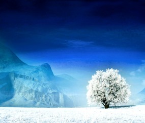 小孩和大人发烧（小孩和大人发烧哪个抗烧）