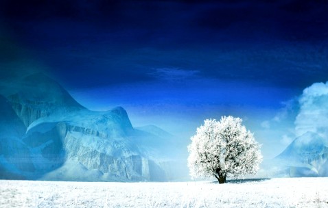 小孩和大人发烧（小孩和大人发烧哪个抗烧）