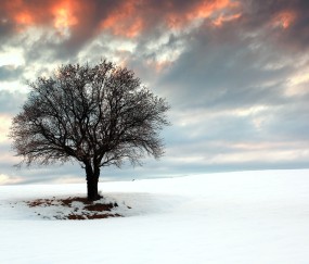 南昌正规的供卵助孕生殖中心，助孕成功最快仅需28天！（南昌捐卵医院）