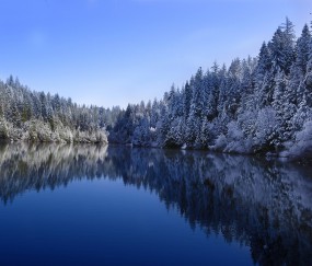 卵泡为什么不圆（卵泡为什么不圆润）