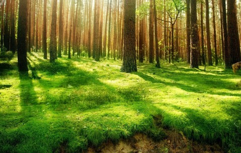 南昌借卵生子机构医院，6家试管中心任你选！（南昌生殖医院做试管婴儿要多少钱）