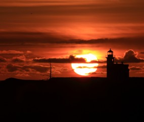 小孩发烧屁股起泡怎么办（小孩发烧屁股上有小红点）