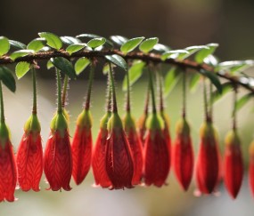 南昌供卵试管助孕医院排名汇总，附供卵管成功率、费用预算！（南昌地下供卵试管）