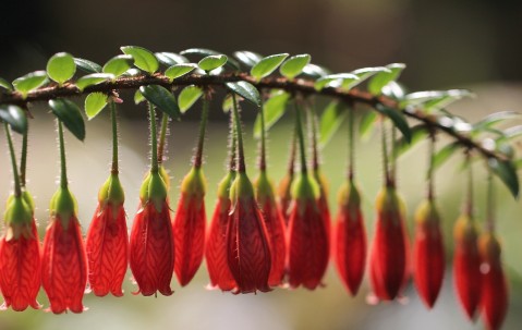 怀孕早期怀男孩有什么特征最准
