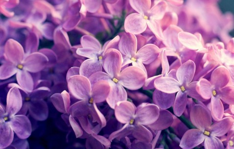 美福医疗中心试管成功率怎么样