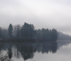 关于福州可做三代试管供卵的5家医院生殖中心，附供卵管成功率、费用预算！的信息