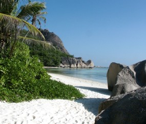福州借卵生子机构医院，高龄借卵试管成功率有多少！（福州哪里做试管婴儿成功率最高）