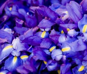 小孩中暑发烧吃什么退热药（小孩中暑高烧吃什么药）