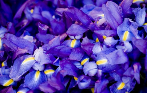 小孩中暑发烧吃什么退热药（小孩中暑高烧吃什么药）