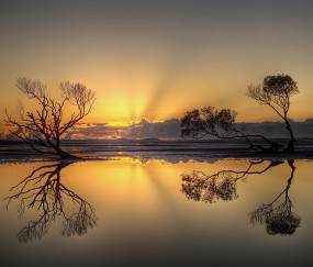 福州哪家做试管最好