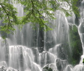 南昌供卵生殖机构名单大全，二代供卵价格不到4万！（南昌地下供卵试管）