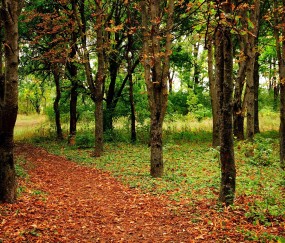 福州哪个医院做人工授精最好