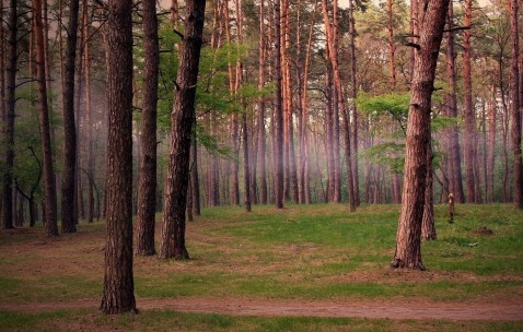 福州供卵试管医院有哪些，促排取卵单周期3万起！（福州有没有地方做试管婴儿）