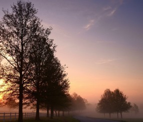 试管双胞胎婴儿成功率有多少?