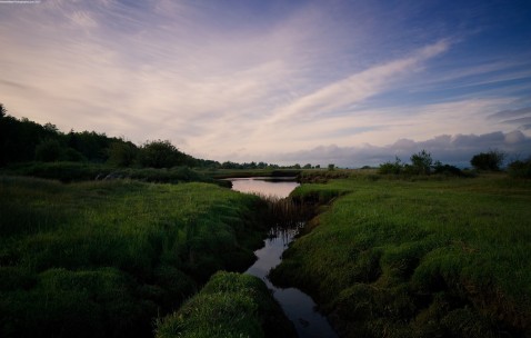 卵泡13乘以8（卵泡13乘以11能怀孕吗）