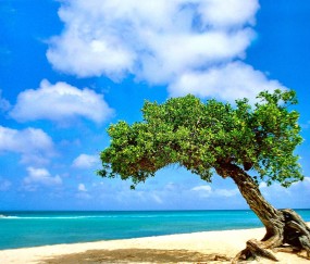 福州试管婴儿哪个医院最好