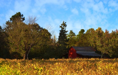 34岁试管婴儿成功率高吗