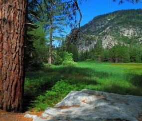卵泡排出会破裂吗（卵泡排出会来月经吗）