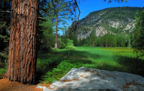 怀孕50天最明显的征兆是什么