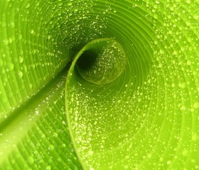 卵泡要多大才成熟（卵泡多大才成熟排出内膜厚）