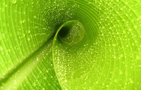 南昌供卵生殖机构名单大全，附2024借卵排队时间公告！（南昌捐卵联系方式）