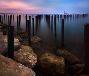 月经第十五天卵泡没有（月经第十五天卵泡没有排出）