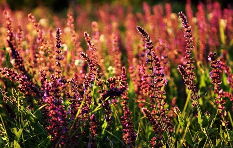 现在试管婴儿成功率高吗知乎