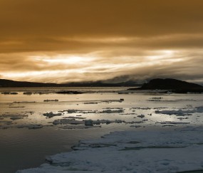 小孩发烧突然蹬腿（小孩发烧踢腿）