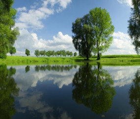 巧囊卵泡黄素化（卵泡黄素化合并巧囊）