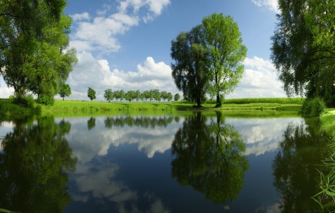 怎样增加卵泡数量（怎么可以增加卵泡数量）