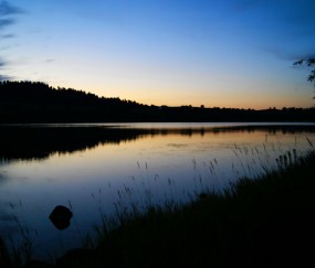 甲亢症状典型临床表现