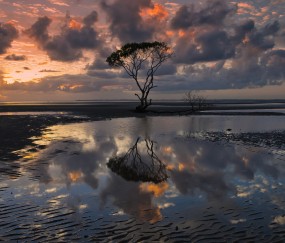 四十岁以上女人备孕如何调整
