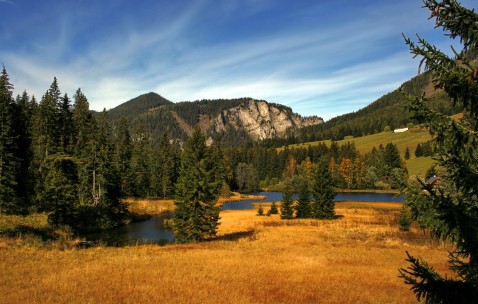 南昌5家合法供卵生殖中心名单，附2024卵源等待时间！（南昌公立生殖医院）