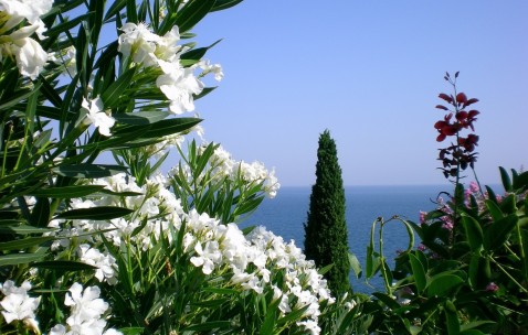 南昌供卵生子大概要多少钱，供卵全流程花费明细！（南昌供卵试管婴儿）