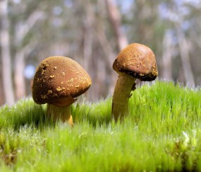 腹部b超测卵泡准吗（腹部b超看卵泡大小准确吗）