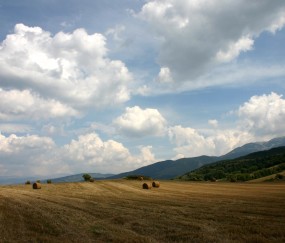 小孩发烧做什么饭吃好（小孩发烧做什么饭吃好呢）