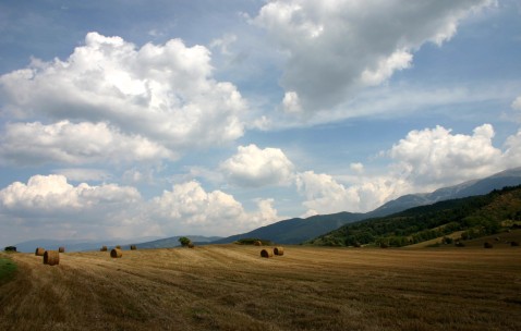 南昌正规的供卵助孕生殖中心，附2024当地借卵生子费用剖析！（南昌助孕价格）