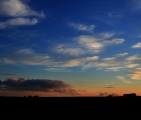 用酒精测男女图片是什么样