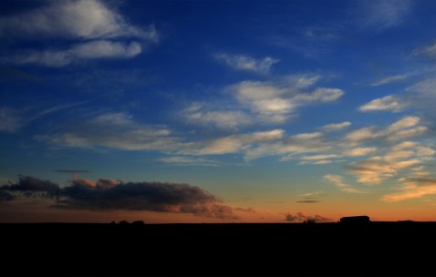 用酒精测男女图片是什么样