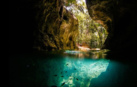 为什么小孩吃冰就会的发烧（小孩吃冰冷引起发烧怎么办）