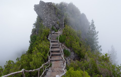 南昌私立供卵试管公司名单，附供卵移植成功率统计表！（南昌做试管哪家）