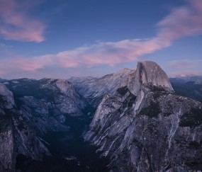 小孩发烧与家里养的乌龟有关系吗（小孩发烧跟养猫有关系吗）