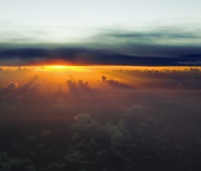 卵泡发育不良什么原因（卵泡发育不良什么原因导致的）