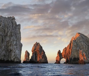 如何监测卵泡发育（如何监测卵泡发育情况）