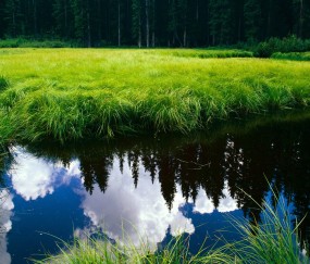 卵泡不成熟就排了怎么办（卵泡不成熟就排了 跟什么有关呢）
