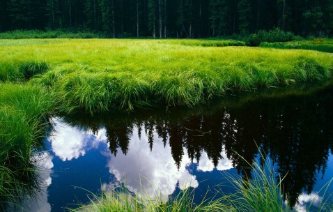 卵泡不成熟就排了怎么办（卵泡不成熟就排了 跟什么有关呢）