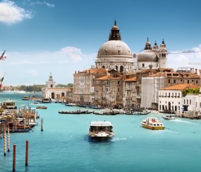 取卵只有一个卵泡（取卵只有一个卵泡有必要取吗）